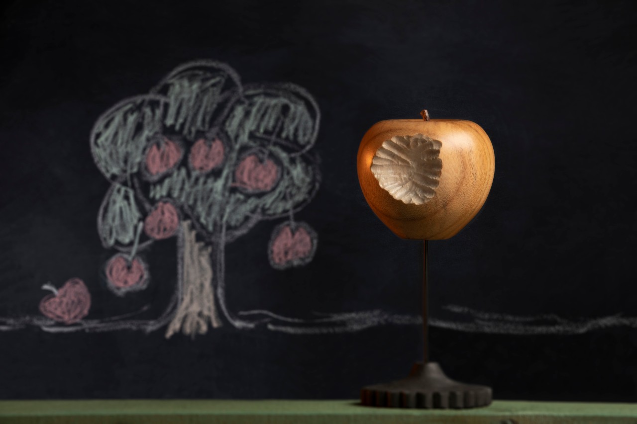 Wooden apples, worm, chalk drawings. 
