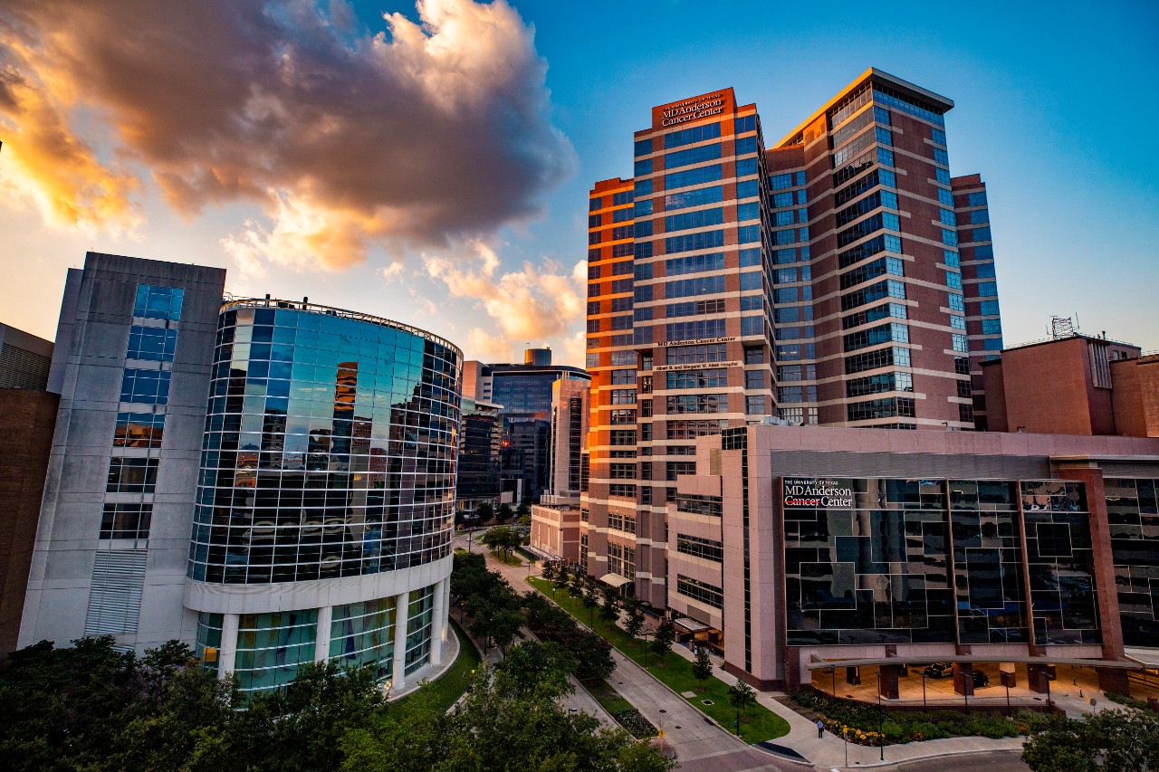 Texas Medical Center, one of the largest in the world and like a city in itself 