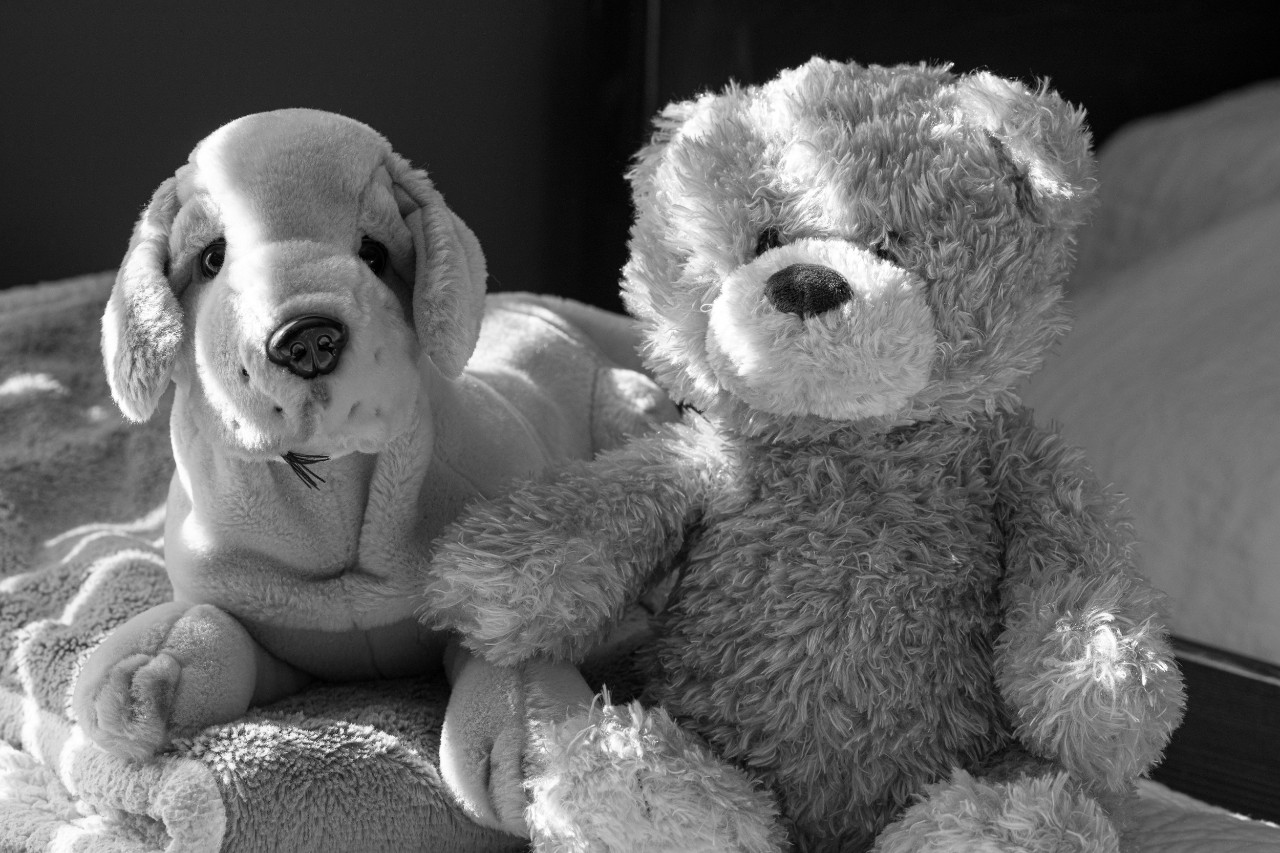 Teddy Bear