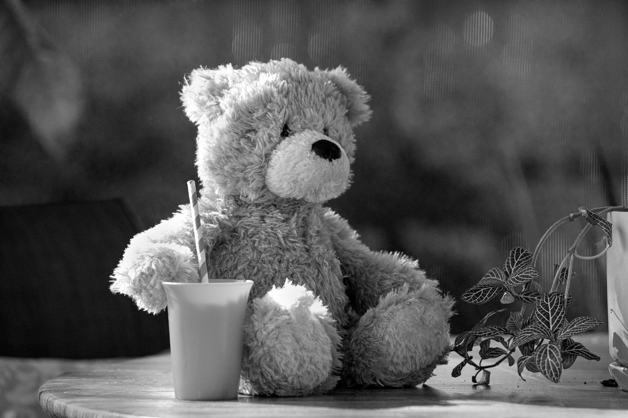 Teddy Bear