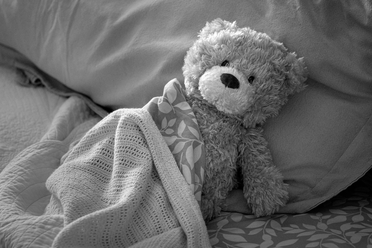 Teddy Bear