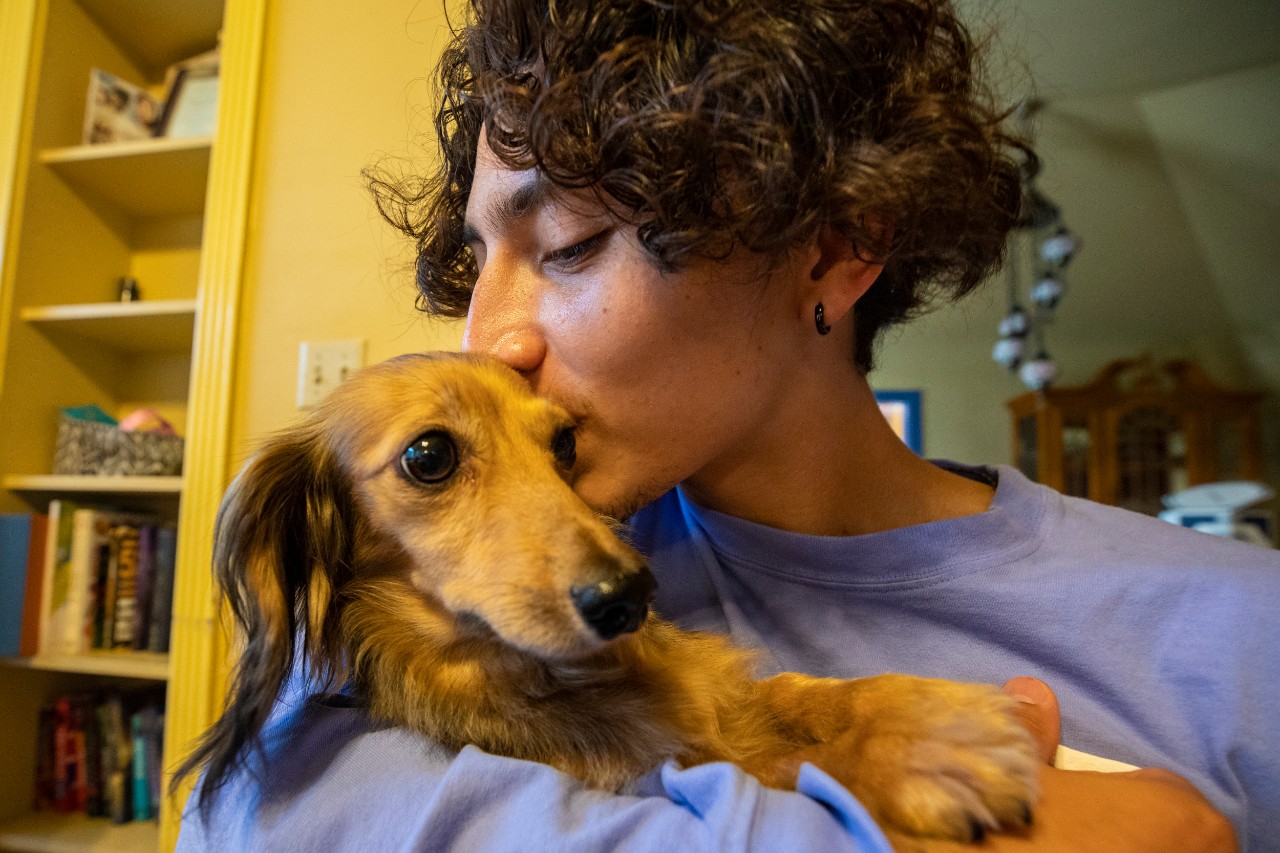 boy kisses dog