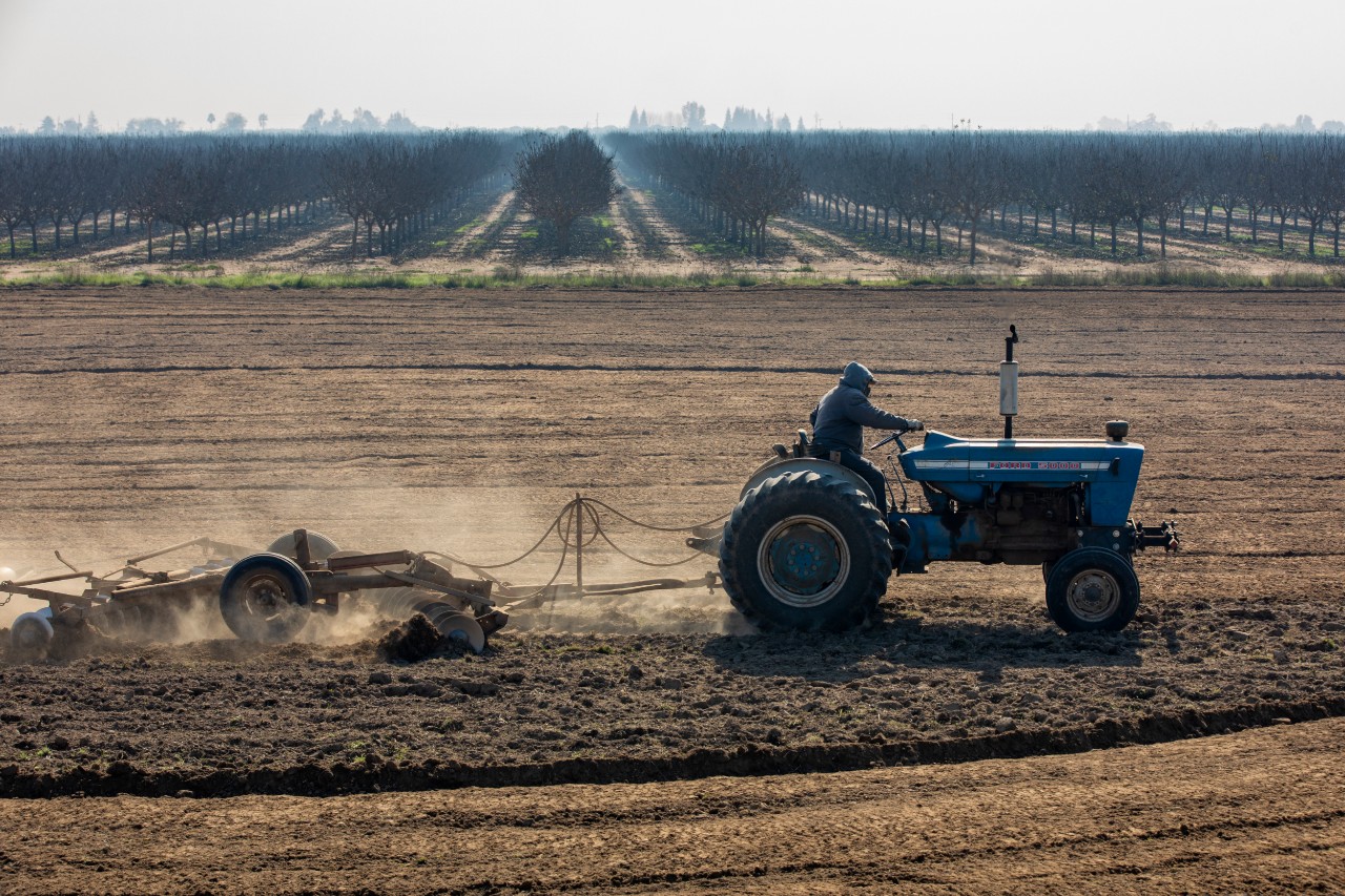 Because the past year has been Kern County’s driest in 128 years, with zero water coming from the state water board, many farms gave up on planting crops in 2022.