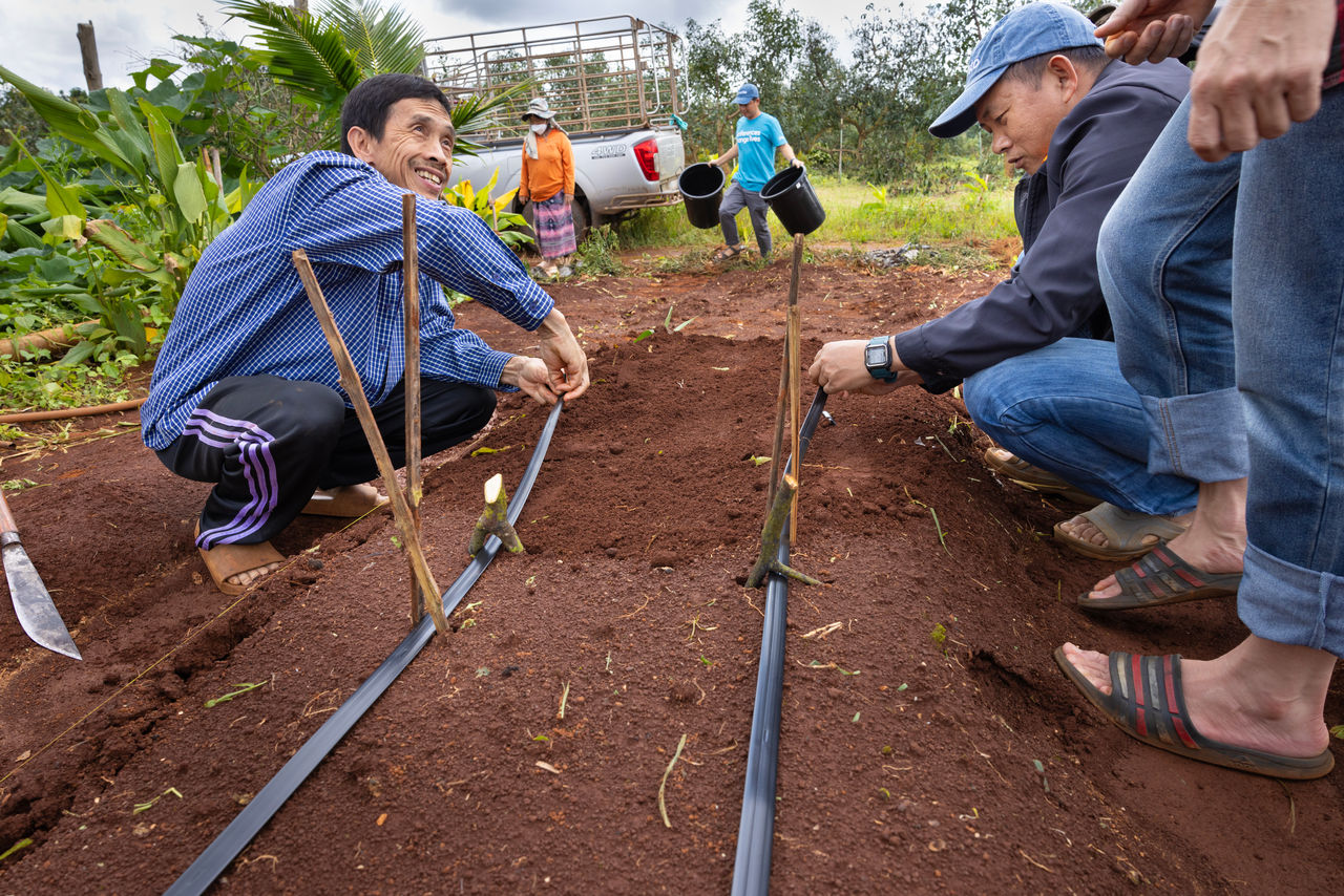 people laying irrigation tubes on ground