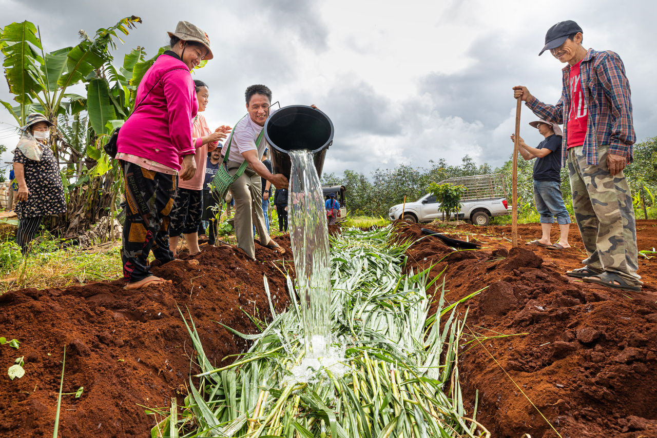people placing reeds into trench with water